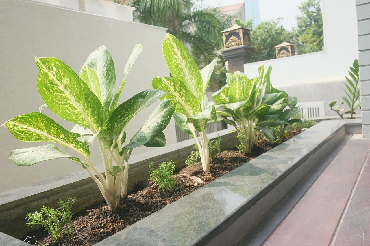 Greenwood Villa Saigon Ho Şi Min Exterior foto