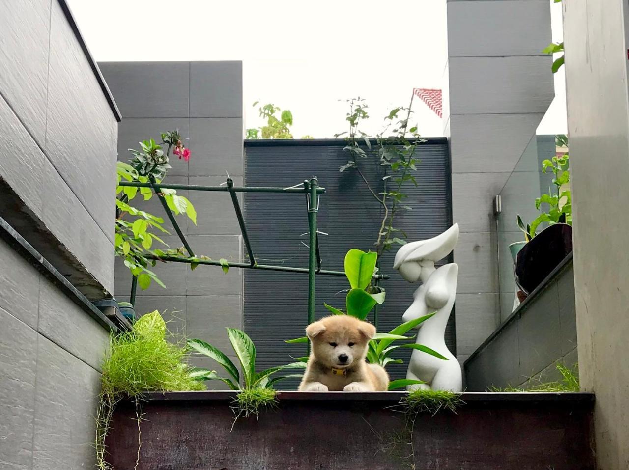 Greenwood Villa Saigon Ho Şi Min Exterior foto